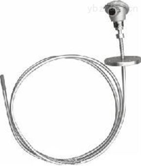 多點防爆熱電偶