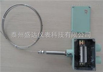 WRMWRM-54、WRM2-54、WRM-54A、WRM2-54A防爆熱電偶