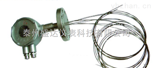 WRE-230D多點熱電偶