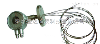 WZPKN多點熱電阻