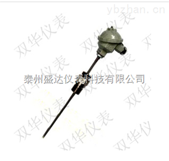 WRN-316T軸承式熱電阻
