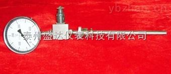 WSSXE-411E分度号熱電偶智能雙金屬溫度計