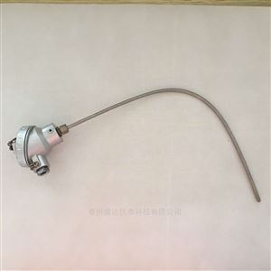 抗震動K型铠裝熱電偶WRNK-131
